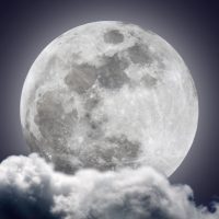 Full Moon art Moon at it's fullest. I took this picture (the moon part) a few minutes before the lunar eclipse of feb. 20, 2008.